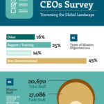 Mission CEOs Survey