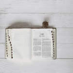 Into the Word: Partnership