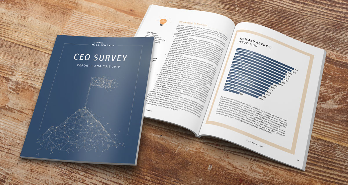 CEO Survey Report Page Sample