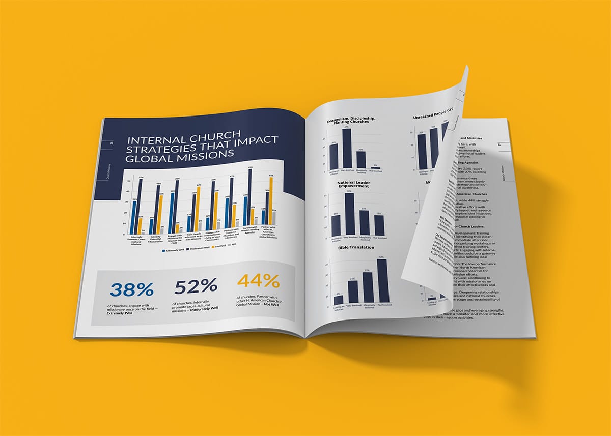 Church Mission Leader Report Volume 3 (members) - Image 3
