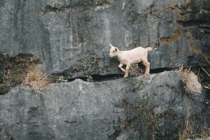 Using a Meeting with Jesus to Overcome Discipleship Blocks