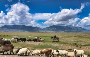 Nomads and Church: Beyond Our Walls