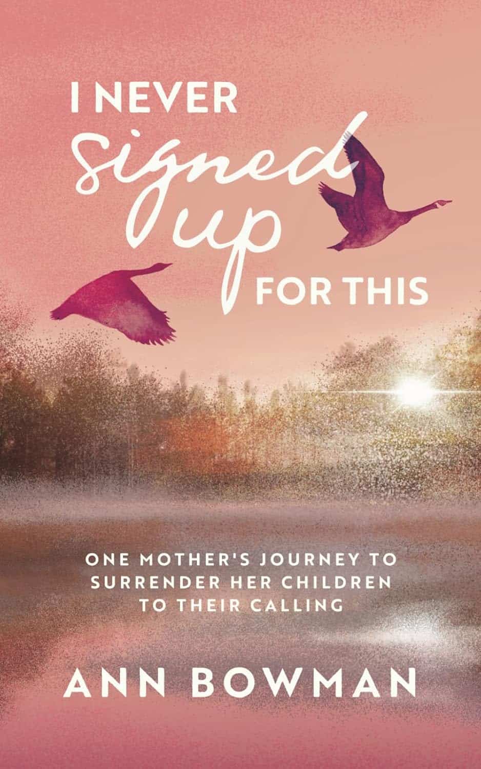 Book cover for 'I Never Signed Up for This' by Ann Bowman.