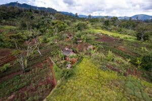 Lush green rural landscape with small houses and cultivated fields in a mountainous region.