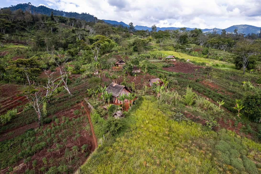 Lush green rural landscape with small houses and cultivated fields in a mountainous region.