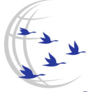 Profile photo of Freedom to Lead International