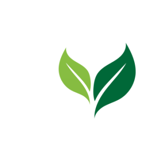 Group logo of Shared Foundations Initiative Leadership Group