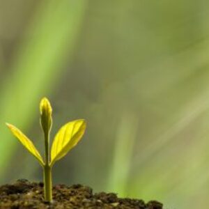 Group logo of Essentials for Training: Principles & Practices